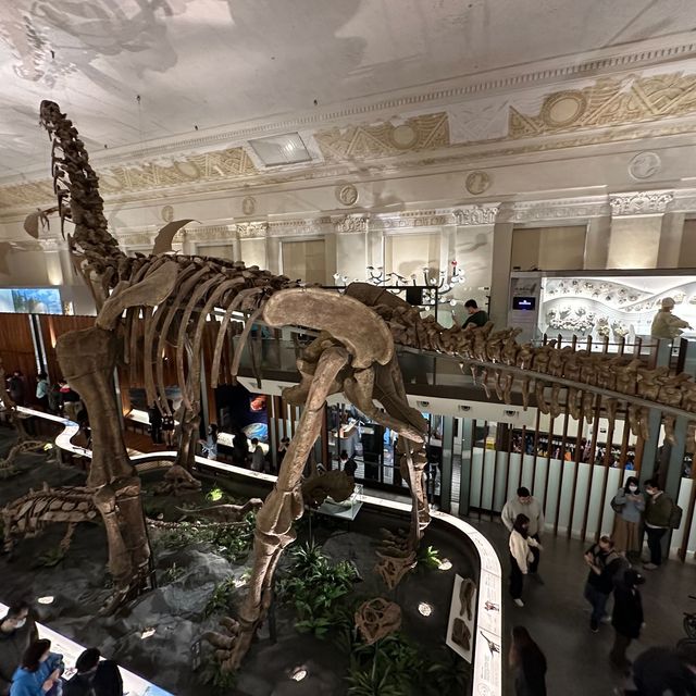 台灣博物館 古生物館 超大恐龍化石 互動導覽 好玩好充實