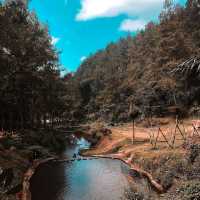 beautiful waterfall