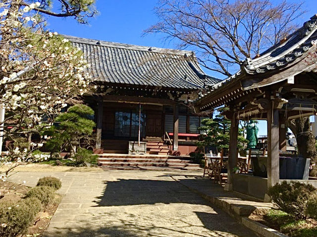 【東京都/法輪寺】早稲田の映えるスポット