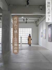 【東京都/代官山】秋に行きたい🍁代官山の無料アートスポット