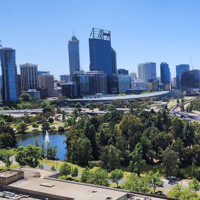 Kings Park, Perth 🇦🇺