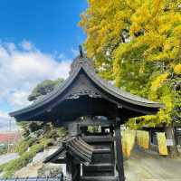 【長野県/高さ40mの夫婦銀杏が美しく紅葉を始めた佛法紹隆寺】