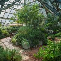 The Beauty of Iljasan Herb Astronomy Park