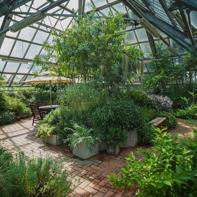 The Beauty of Iljasan Herb Astronomy Park