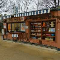 入場料 大人500円！大満足 天王寺動物園