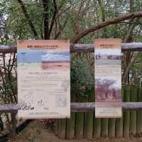 わかりやすい！大阪eco動物海洋専門学校　天王寺動物園