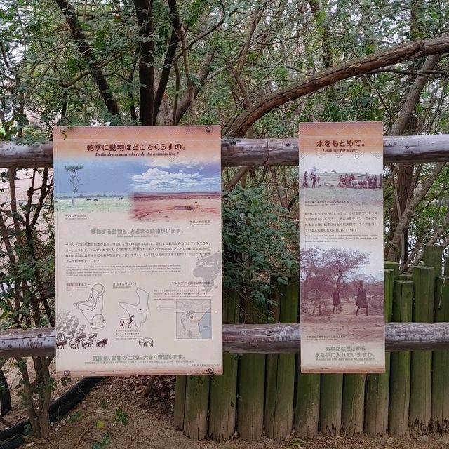 わかりやすい！大阪eco動物海洋専門学校　天王寺動物園
