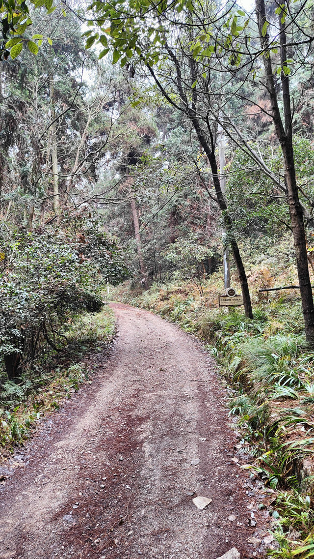 Guiyang - hills, forests and monkeys.