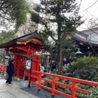 愛宕神社で出世の階段を登る