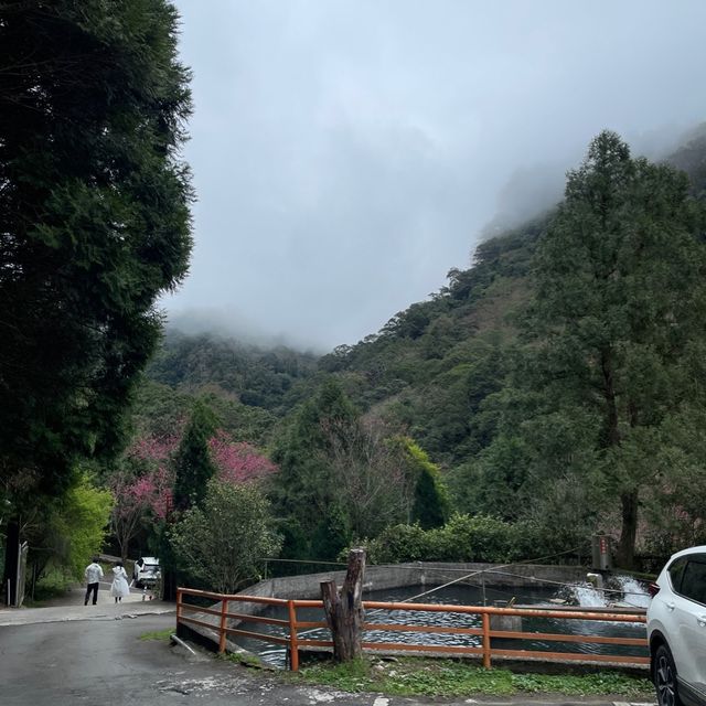 鴛鴦谷休閒養殖農場