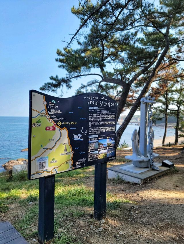 탁트인 바다와 예쁜 전망대가 만나는 곳⚓️