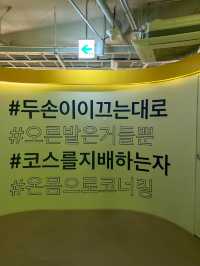 제주도에서 신난 액티비티 즐기기🏎️