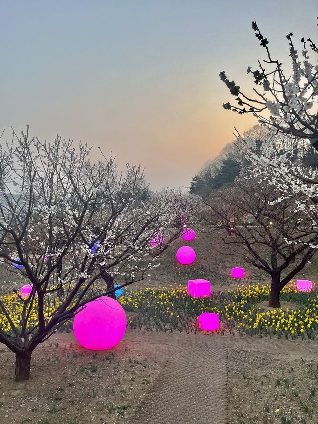 에버랜드 숨은 풍경 맛집, ‘하늘 정원길’🌸💕