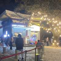 밤에 꼭 봐야하는 디지털 아트, 통영 디피랑⭐️