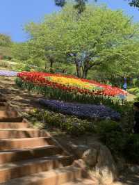 서울 서대문 4월이면 튤립 동산으로 변하는 쉼터🌷 [서대문_연희숲속쉼터]