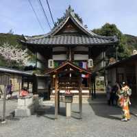 京都地標清水寺