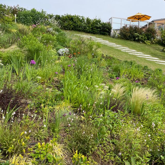 植栽とスヌーピーがいっぱい【グランベリーパーク】