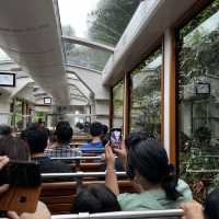 山頂纜車，凌霄閣