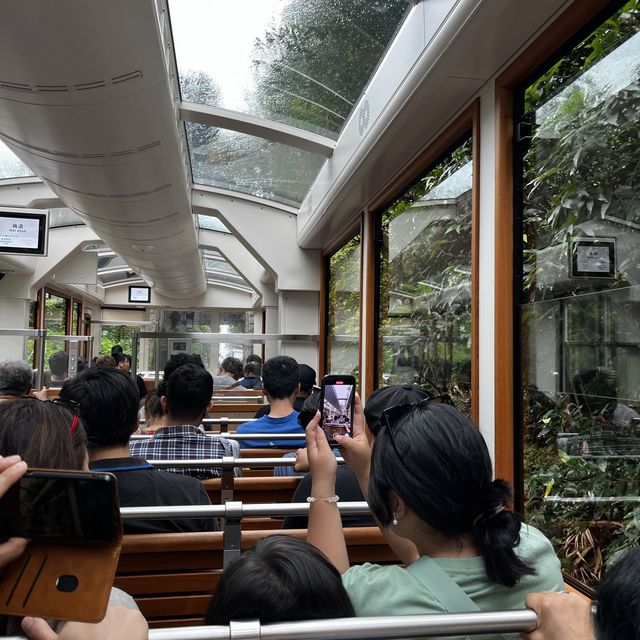 山頂纜車，凌霄閣