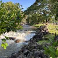 A day trip to Chiang Rai 