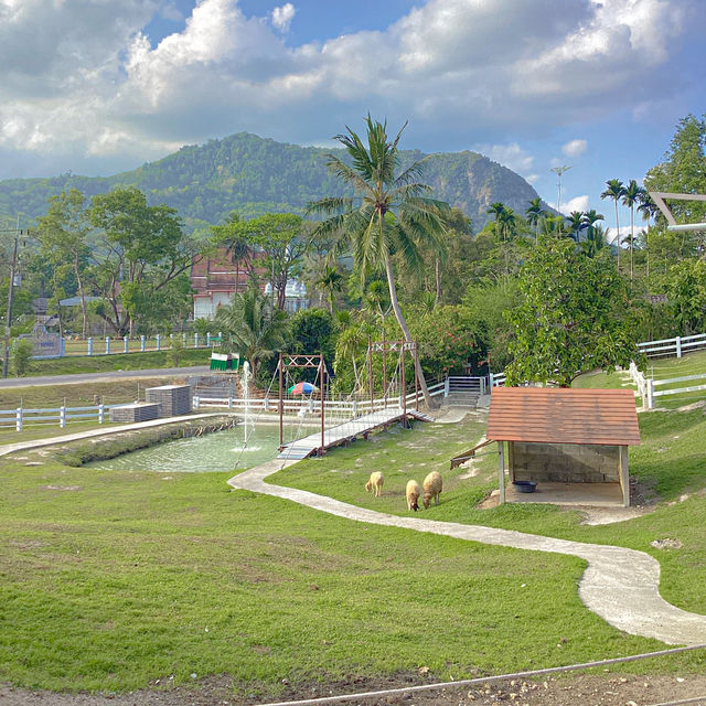 ลานสกาฟาร์มแกะ นครศรีธรรมราช