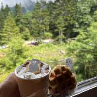 新穗高纜車 🚡 mount view cafe 嘆頂之雪糕🍦