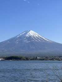 Kawaguchiko Lake🗻