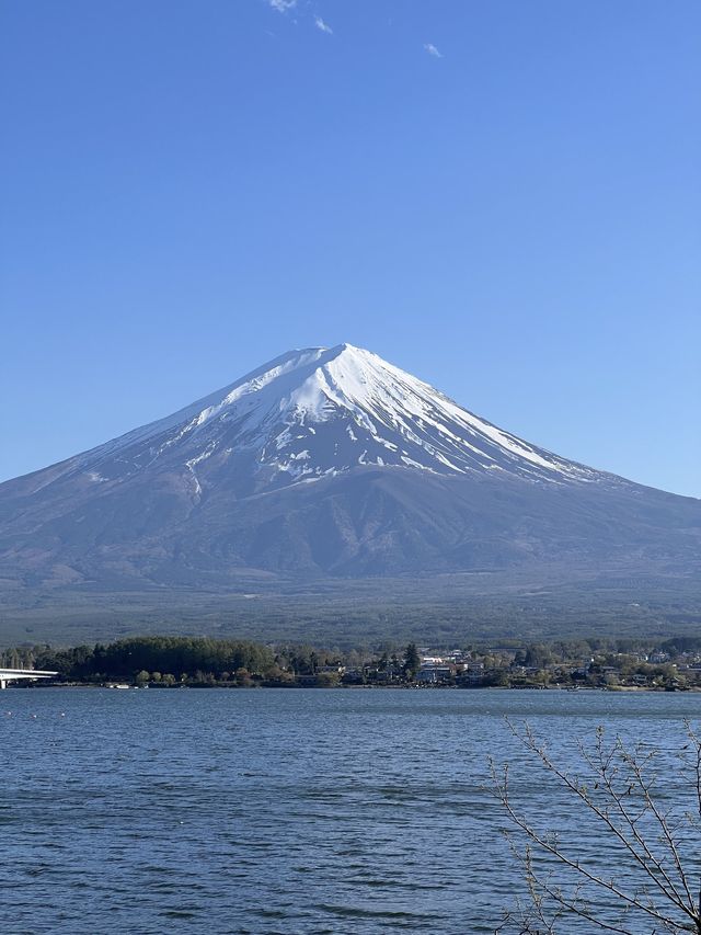 Kawaguchiko Lake🗻