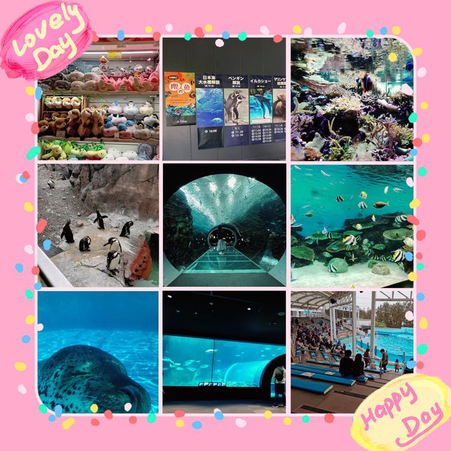 海洋奇妙～新潟市水族館 Marinepia 日本海🐠🌊🐙