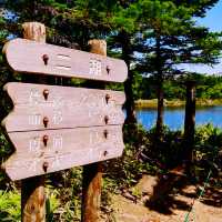 🏞️ 아름다운 자연과 식생이 보존되어 있는 일본 북쪽의 끝 시레토코 국립공원 