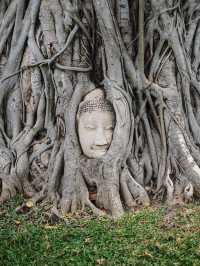 One day trip in Ayutthaya l 4 วัด 2 ที่เที่ยว