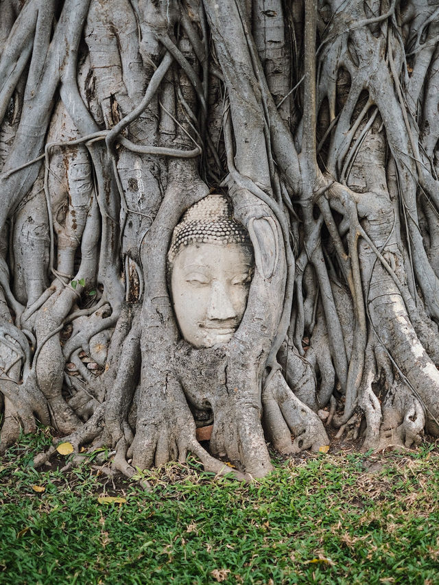 One day trip in Ayutthaya l 4 วัด 2 ที่เที่ยว