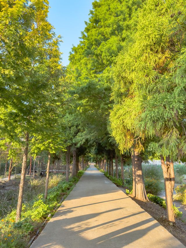 이번 주말 달려가야할 청산 수목원🌲