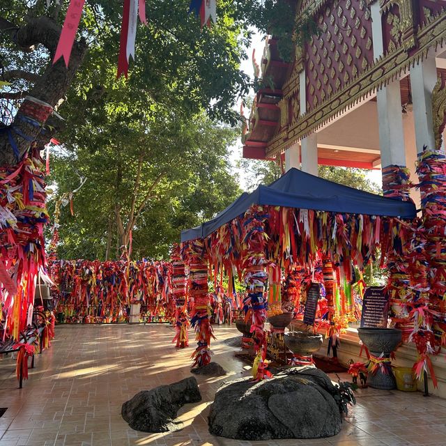 ทำบุญหย่อนใจที่วัดเขาตะแบก