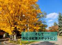 札幌市中心部の大型公園 中島公園の魅力