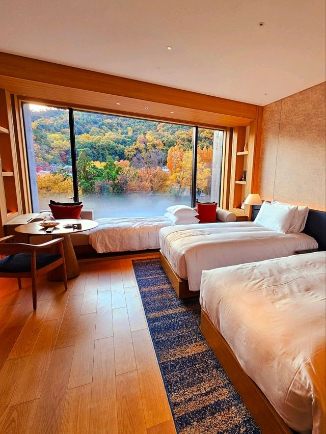 【ROKU京都】京都で最大の屋外温泉プール&紅葉が美しい日本庭園
