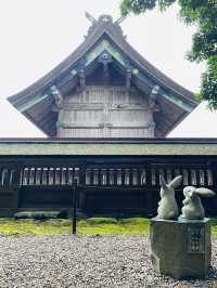 【島根県/出雲大社】2023年行ってよかった！島根県の神社14