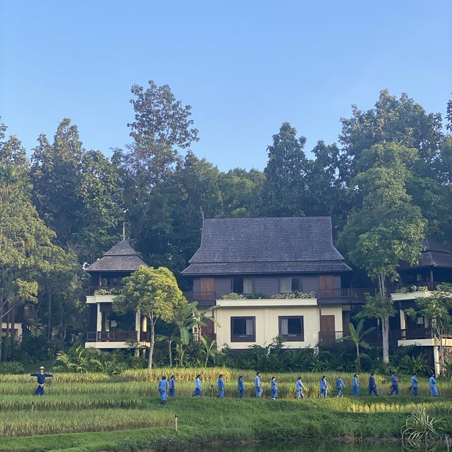Four Seasons Chiangmai ลักชัวรี่ท่ามกลางธรรมชาติ