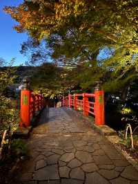 秋の修善寺！もみじに竹林、お寺を堪能