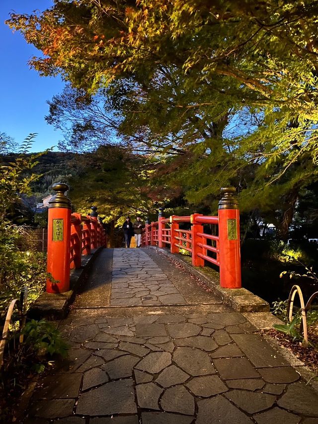秋の修善寺！もみじに竹林、お寺を堪能