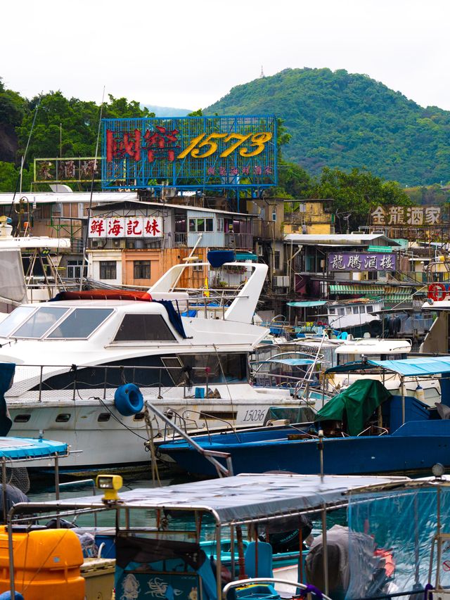 Discover the last neon signs at this hidden fishing village! 📷