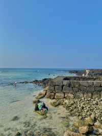 제주 동쪽 에메랄드빛 새화해변🏖