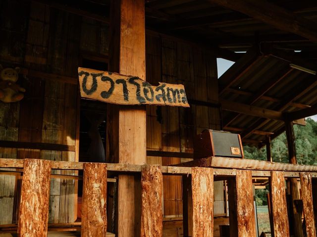 แนะนำที่พักนักเดินทาง ป่าสนวัดจันทร์ : ซว่าโฮลเทล