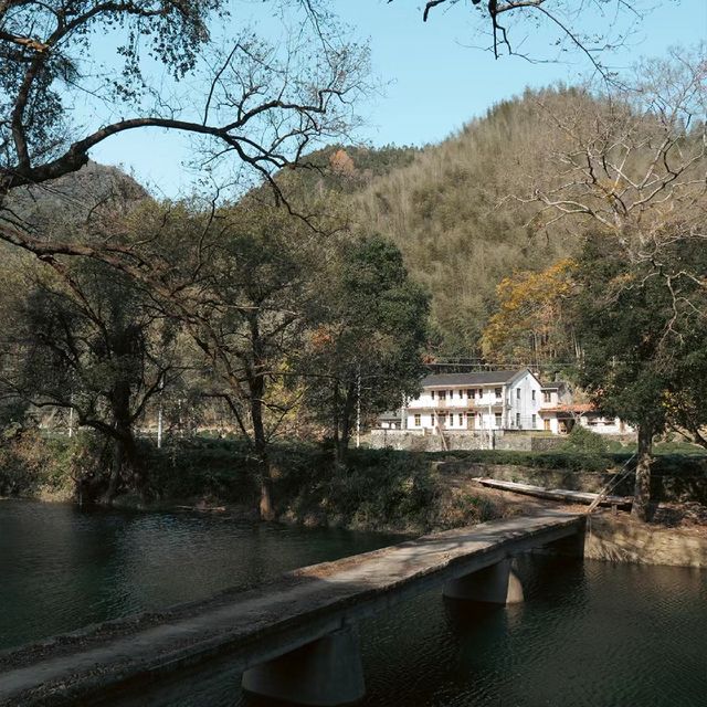 水鄉漫遊😌左營村