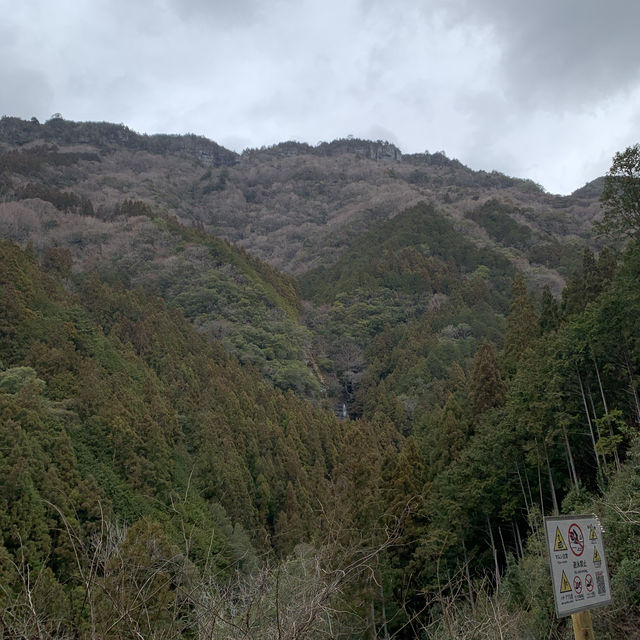 【高知】にこ淵