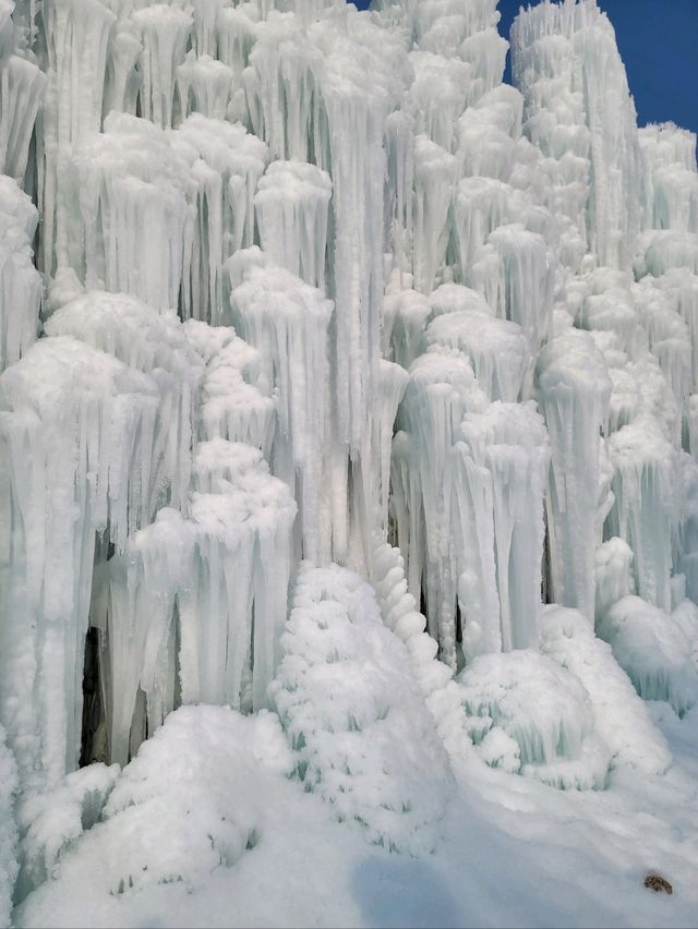 겨울여행지로 여기 안가면 섭섭해❄️