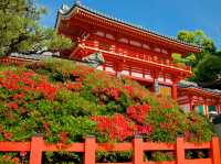 Yasaka Shrine