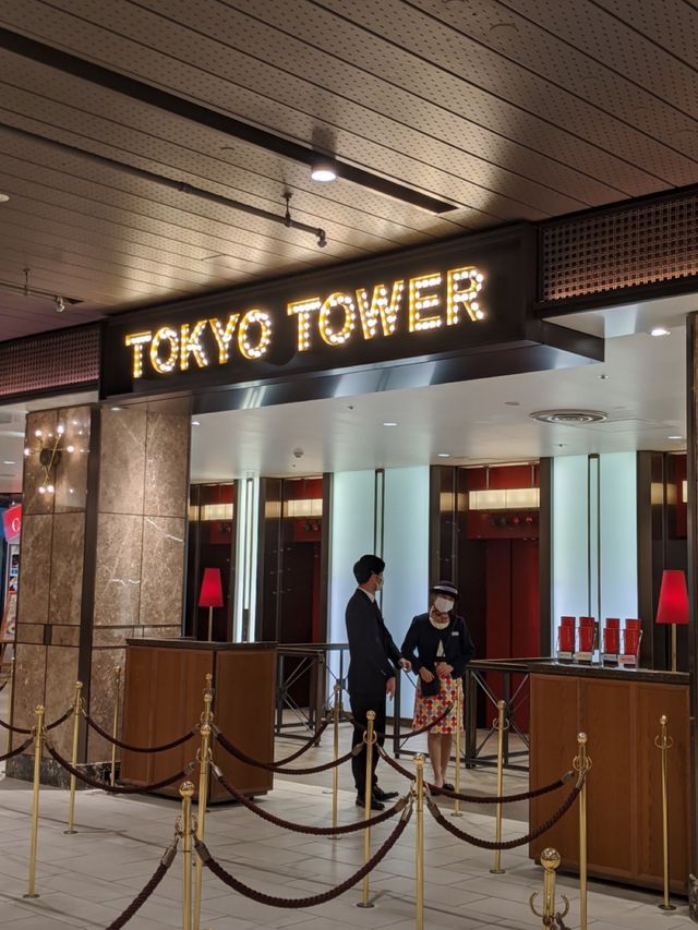 【東京観光】綺麗に輝く東京タワー