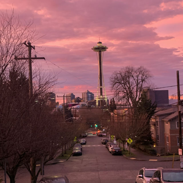 Cotton Candy Space Needle 