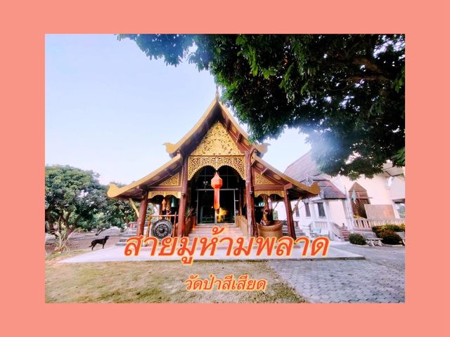 วัดป่าสีเสียด อำเภอป่าซาง จังหวัดลำพูน